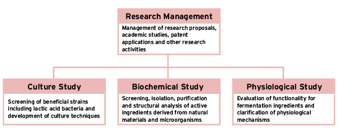 Research Management Management of research proposals, academic studies, patent applications and other research activities - Culture Study Screening of beneficial strains including lactic acid bacteria and development of culture techniques - Biochemical Study Screening, isolation, purification and structural analysis of active ingredients derived from natural materials and microorganisms - Physiological Study Evaluation of functionality for fermentation ingredients and clarification of physiological mechanisms