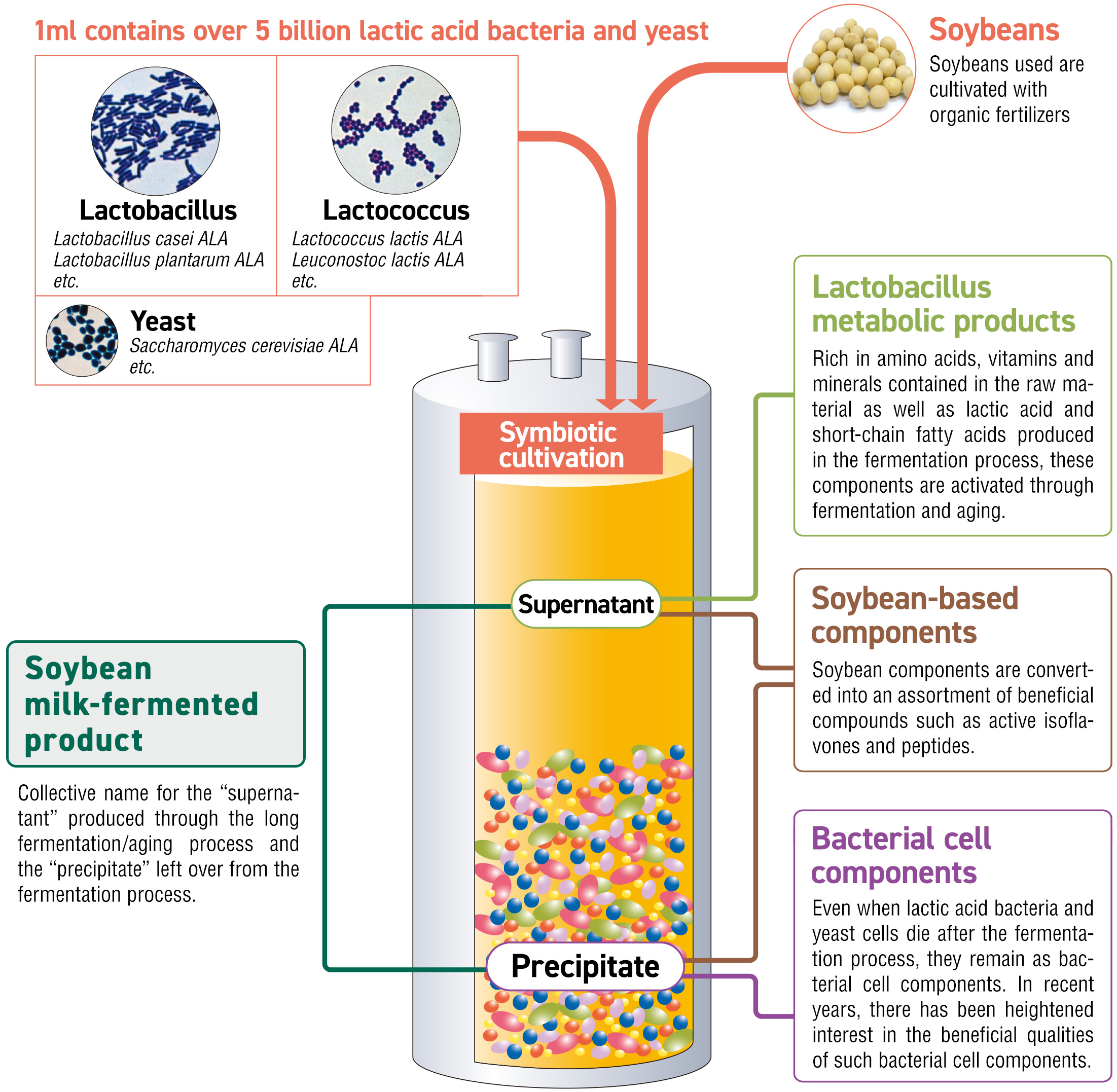 What is Soybean milk-fermented product? - Tank