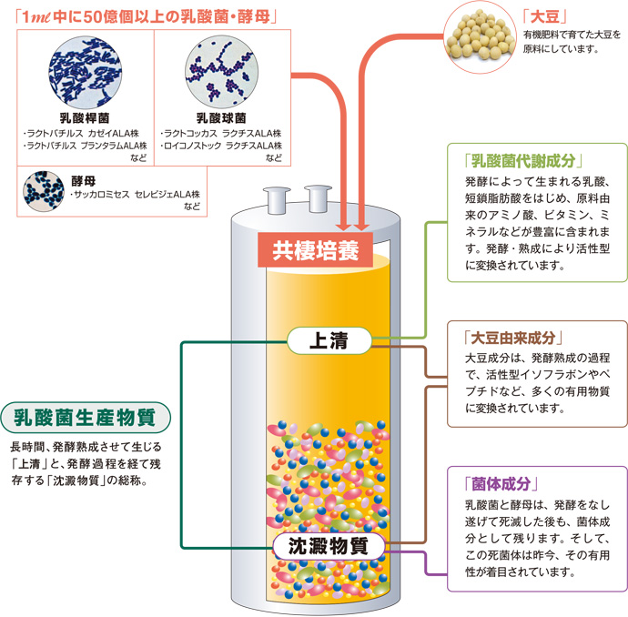 乳酸菌生産物質 エンテロ 腸内環境改善 売れ筋日本 その他